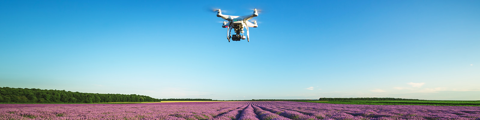 photo-aerienne-entreprise